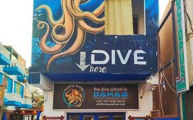 Dahab House Octopus Apartment